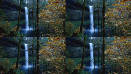 银色的瀑布,俄勒冈州高清在线视频素材下载