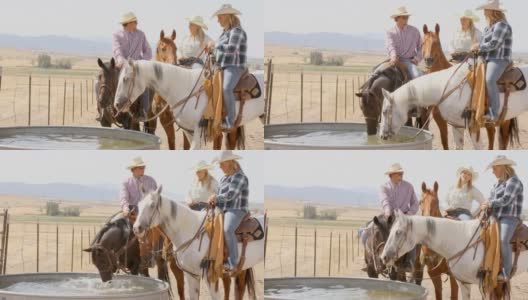牛仔和女牛仔在喂马高清在线视频素材下载