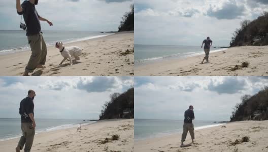 一个年轻人在海滩上和他的狗玩耍。从背后开枪高清在线视频素材下载