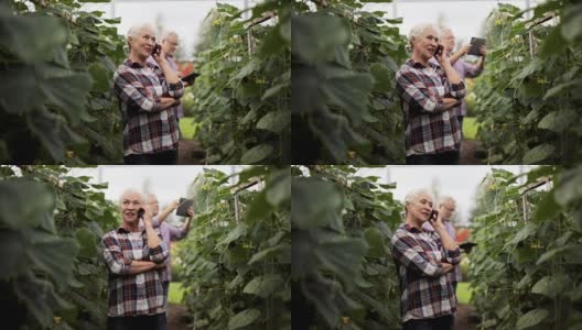 一个老太太在农场的温室里用智能手机打电话高清在线视频素材下载