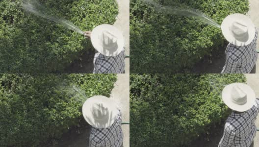 戴着白帽子的人在花园里给树浇水高清在线视频素材下载
