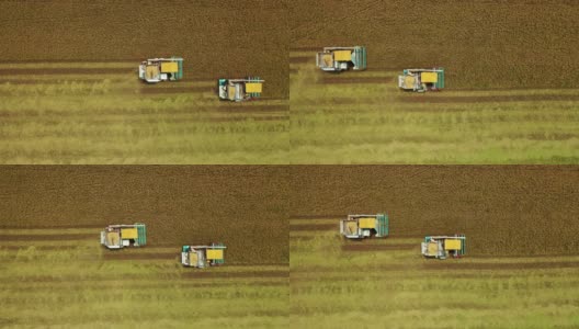 高空俯视图联合收割机在茉莉花稻田上作业的农业技术概念。高清在线视频素材下载