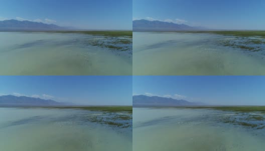 白色的鸟飞过中国新疆的一个湖泊高清在线视频素材下载