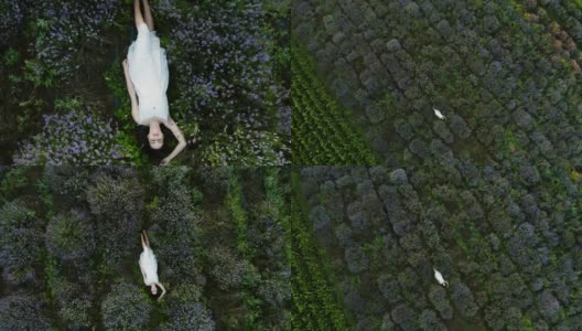 一个年轻女子躺在薰衣草地里高清在线视频素材下载