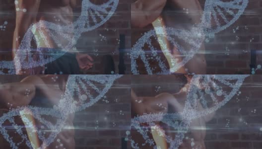 Dna结构和分子结构对抗在健身房锻炼肌肉的白人健美男子高清在线视频素材下载