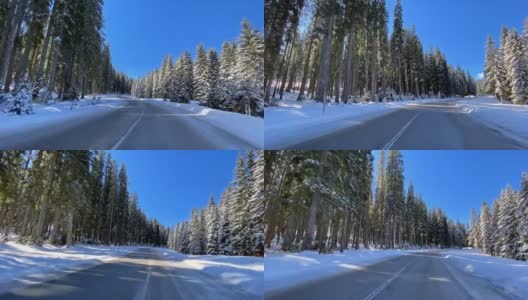 驾车的观点在白雪皑皑的乡村道路穿过白色的森林高清在线视频素材下载