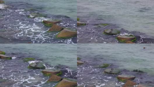 海岸波浪翻滚过海岸防波堤高清在线视频素材下载