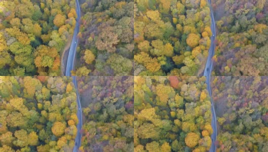 从空中俯瞰汽车行驶在道路上高清在线视频素材下载