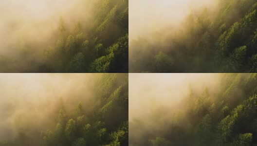 鸟瞰图明亮的阳光照亮光束雾黑暗的森林与松树在秋天日出。雾蒙蒙的黎明，令人惊叹的野生森林。环境与自然保护理念高清在线视频素材下载