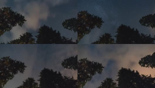 银河与松树，螺旋缩放，夜空星星高清在线视频素材下载