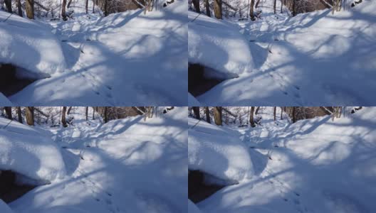 冬天树林里的冰雪河高清在线视频素材下载