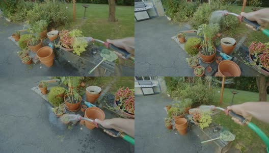 软管洒花手黄昏花园的观点高清在线视频素材下载