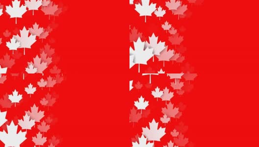 可循环的枫叶在红色背景，加拿大国旗，复制空间高清在线视频素材下载