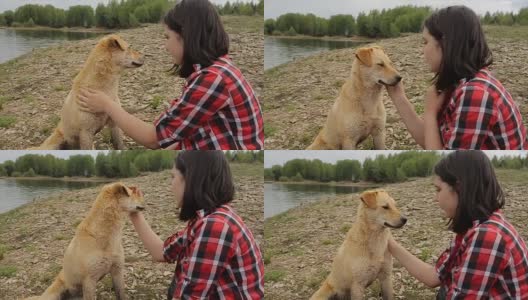 我和我的狗在湖上，和最好的朋友旅行高清在线视频素材下载