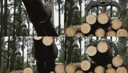 特写:伐木车的摇臂吊运和装载树干高清在线视频素材下载