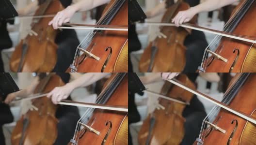 特写在管弦乐队大提琴大提琴高清在线视频素材下载