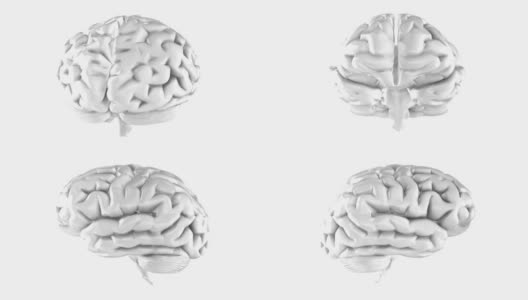 人类的大脑回路高清在线视频素材下载