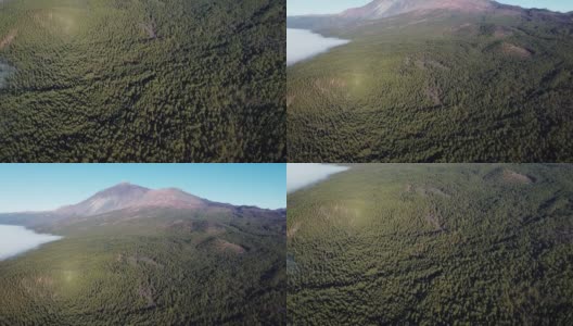 鸟瞰图的火山泰德和茂密的松树林在前景，特内里费，加那利群岛，西班牙。高质量的4k镜头。高清在线视频素材下载