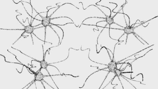 神经元系统线框有点和线。科学的医疗保健理念高清在线视频素材下载