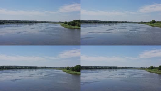 河与鸟类。在晴朗的日子里，水面上漂浮着许多野天鹅。和许多鸟群飞过湖面。鸟瞰图。高清在线视频素材下载