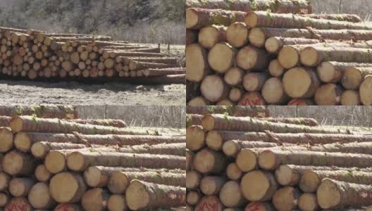 挪威哈丹吉尔山上的一堆原木高清在线视频素材下载