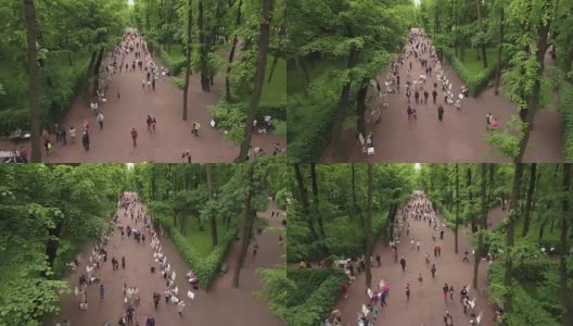公园鸟瞰图，夏季花园，圣彼得堡，俄罗斯高清在线视频素材下载