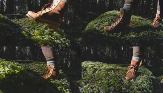 一个活跃的健康的潮女摄影师手拿相机走过森林。一只脚在青苔上踱步的特写。60帧/秒的慢动作。GoPro 6黑色三轴抗菌稳定剂高清在线视频素材下载