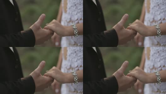 新郎亲吻新娘的手高清在线视频素材下载