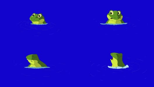 青蛙潜水在蓝屏上孤立高清在线视频素材下载