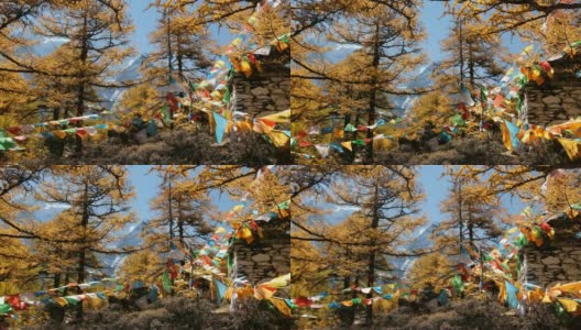 亚丁自然保护区仙乃日神山秋日森林中，彩旗祈福飘扬高清在线视频素材下载