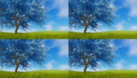 虚幻的蓝色樱花樱花树在盛开的幻想3D动画高清在线视频素材下载