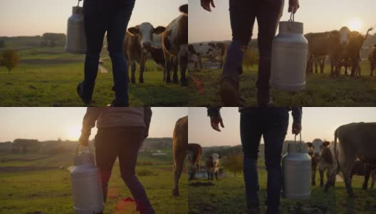 扛着一桶牛奶穿过牧场的农民高清在线视频素材下载