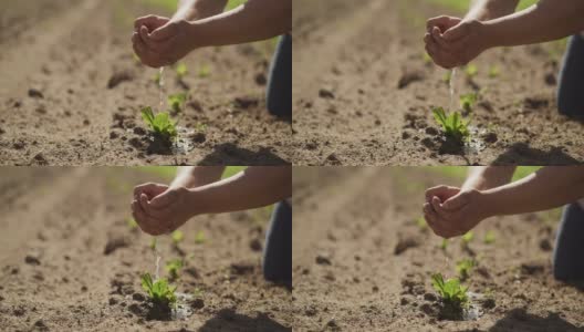 一个农民浇灌植物的4k视频片段高清在线视频素材下载