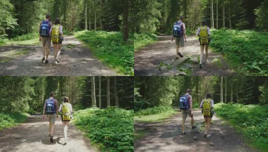 后视图:背着背包的朋友们沿着森林里的一条小路走。活跃的年轻人在徒步旅行高清在线视频素材下载