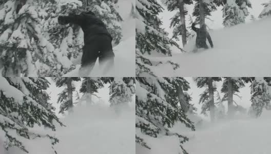 滑雪者黑色夹克骑深粉雪荒野荒野树木斜坡户外冬季娱乐极限运动高清在线视频素材下载