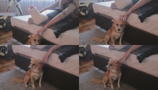 一个断了腿的少女在家里抱着她的狗高清在线视频素材下载