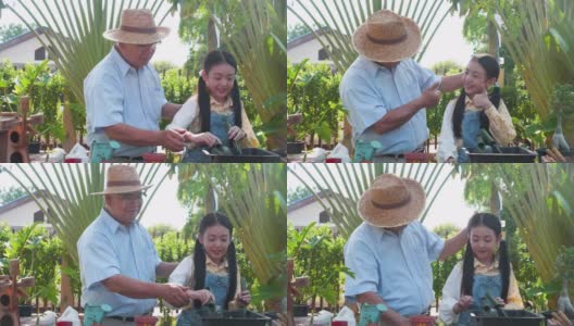 亚洲退休的爷爷和漂亮的孙女一起在家里的花园里帮忙种树。愉快享受假期的家庭户外活动。高清在线视频素材下载