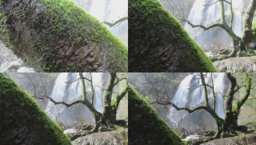 孔龙兰瀑布与苔藓高清在线视频素材下载