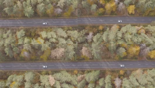 空中拍摄的白色汽车在秋天的乡村道路上行驶。汽车在黄秋林的乡间小路上行驶。在美丽的秋天，越野车通过风景秀丽的风景方式。俯视图高清在线视频素材下载