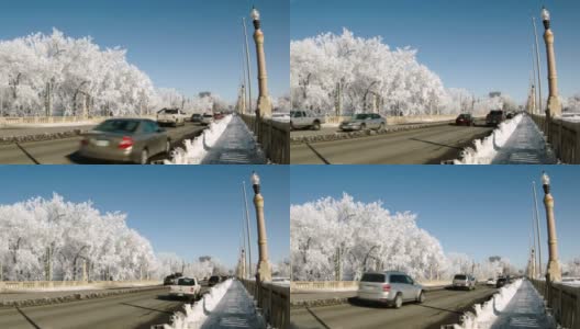 冬天的交通桥上有霜冻的树木高清在线视频素材下载