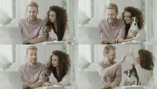 男人，女人和一只狗一起在笔记本电脑上工作高清在线视频素材下载