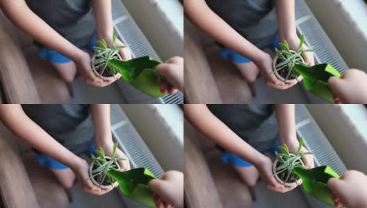 可爱的小女孩在花园里用喷壶给植物浇水。高清在线视频素材下载