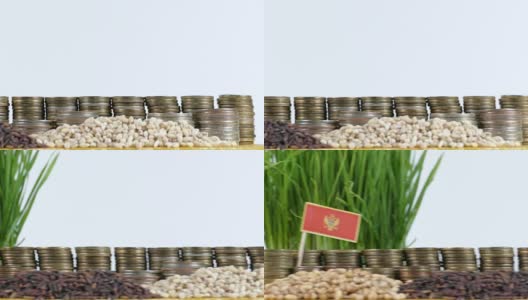 黑山国旗飘扬着成堆的钱币和小麦高清在线视频素材下载