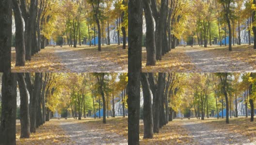 观空的城市公园在秋天晴朗的一天。公园的长巷被鲜艳的落叶覆盖着。美丽的秋景作为背景。慢动作高清在线视频素材下载