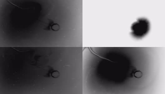 墨水飞溅的水滴，混沌抽象的漩涡，膨胀的墨渍过渡溢出高清在线视频素材下载