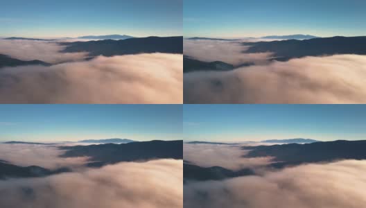 飞在云雾之上，在阳光明媚的秋日清晨的森林山中运动高清在线视频素材下载