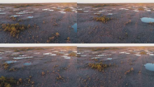 秋日清晨，在索马国家公园的龟尾沼泽，鸟瞰黑暗的沼泽湖高清在线视频素材下载