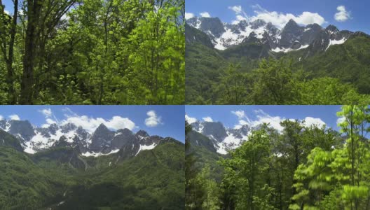 空中的树以山脉为背景高清在线视频素材下载