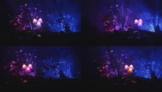 三个幻想发光的蘑菇在神秘的黑暗森林特写。美丽的微距魔术蘑菇或三个灵魂迷失在阿凡达森林。仙女灯的背景与雾。滑块。高清在线视频素材下载