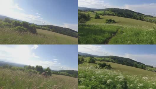 在草地上的小路上散步或低头。夏天是林间空地和森林。高清在线视频素材下载